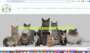typhypoallegeniccattery.com screenshot